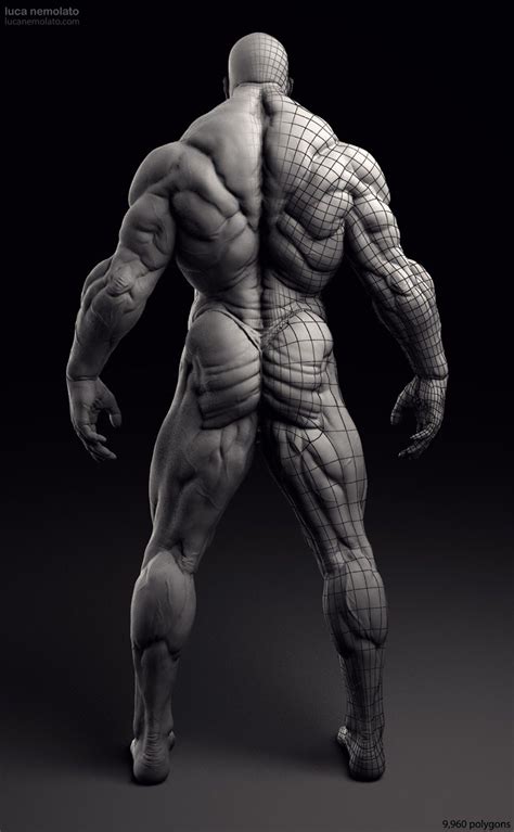 Tutorials and quizzes on the anatomy and actions of the back muscles (iliocostalis, longissimus, spinalis, multifidus, and quadratus lumborum), using interactive animations, diagrams, and illustrations. Extreme Bodybuilder - vray renders … | Art Stuff in 2019 ...