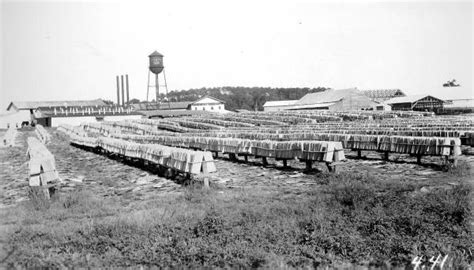 Tallahassee lumber & truss, llc, tallahassee, florida. Florida Memory • View of drying yard.