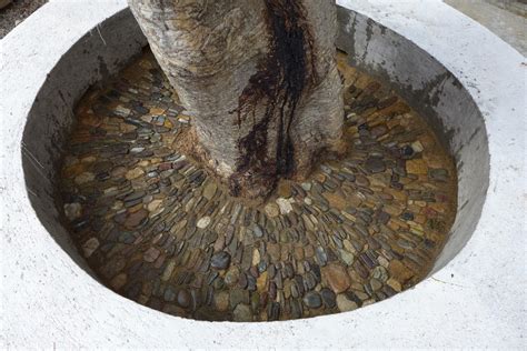 Jeffrey Bale's World of Gardens: A Pebble Mosaic at La ...
