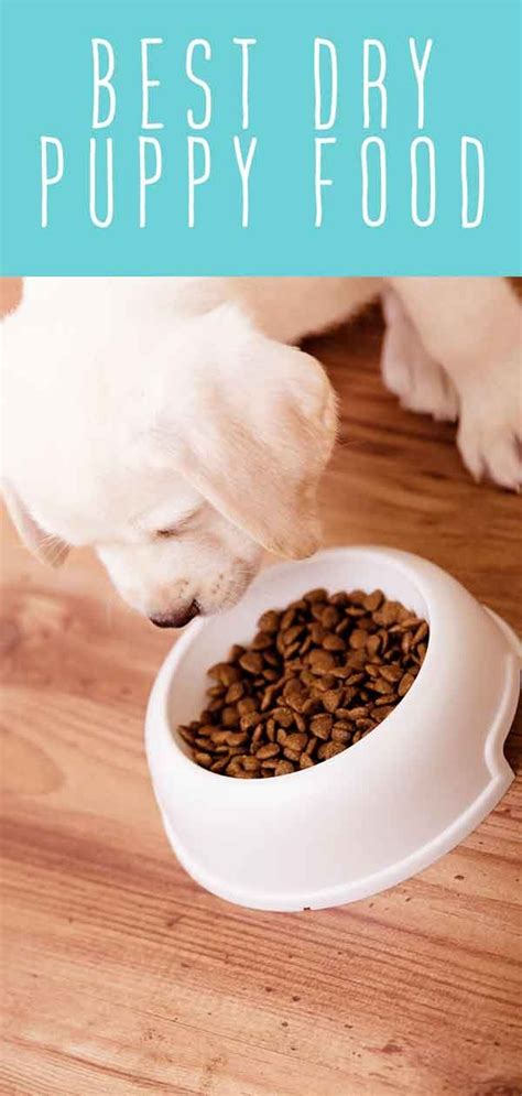 Merrick grain free dry puppy food your little pup needs food that supports his growth and development. Best Dry Puppy Food - The Top Choices For Large And Small ...