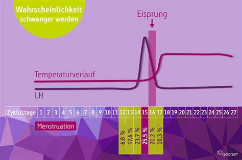 Was du nicht tun solltest. Wann kann man schwanger werden? | cyclotest