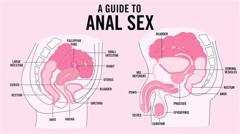 Add comment comments be the first one to comment! Anal Sex: Safety, How tos, Tips, and More | Teen Vogue