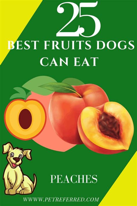 We did not find results for: What fruit is safe for dogs to eat? - 25 best fruits dogs ...