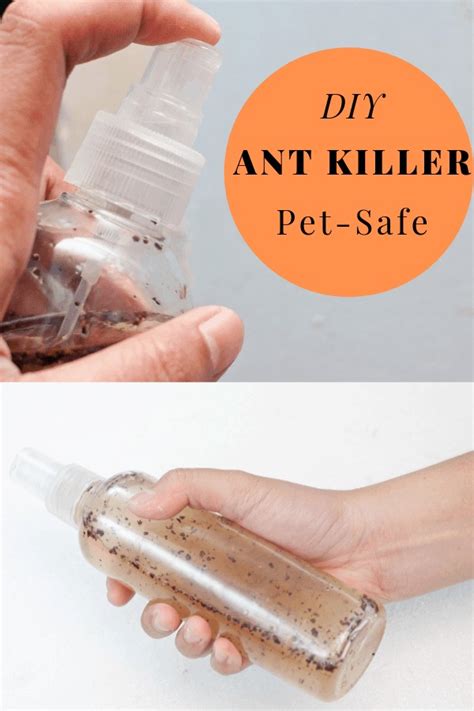 Posted on march 27, 2012. DIY Natural Ant Killer - Pet safe indoor homemade ant killer