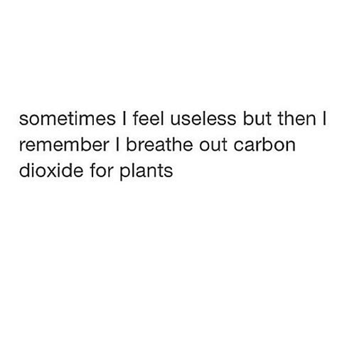 We did not find results for: Sometimes I feel useless but then I remember I breathe out carbon dioxide for plants | Useless ...