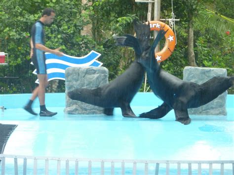 Manatì park es un divertido parque lleno de aventura en punta cana, b·varo. Check-in: Punta Cana: Manati Park