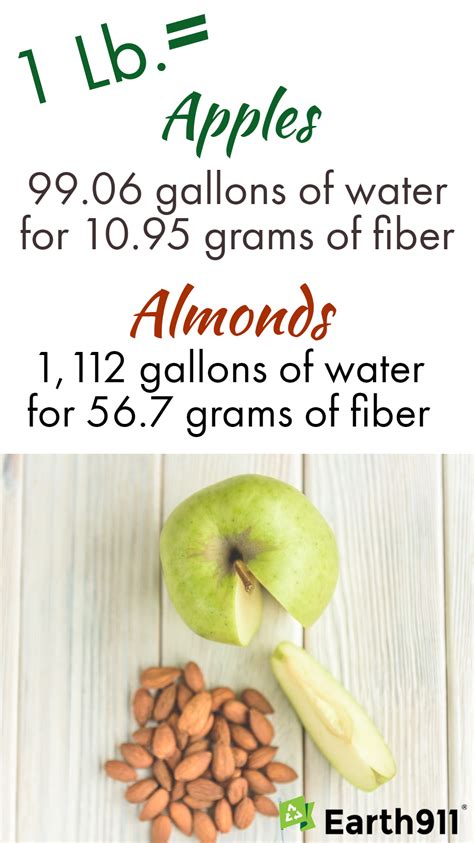 You're in the right place for apple fiber. We Earthlings: Apples vs. Almonds -- Water Use & Fiber ...