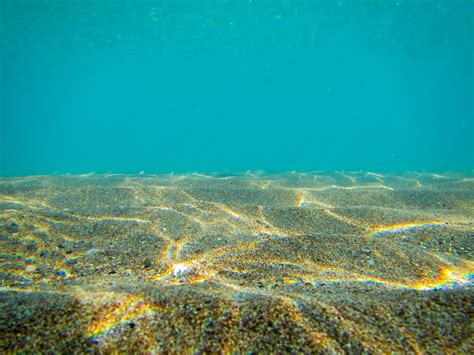 Ini karena gelombang dan arus laut mampu mengikis permukaan dasar laut. Belajar Geografi: Morfologi Laut dan Dasar Laut