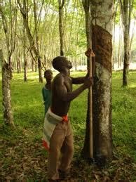 Aturan ini mulai berlaku efektif pada senin (21/6) pukul 23:59 waktu setempat. Liberia - Republic of Liberia capital Monrovia in Africa