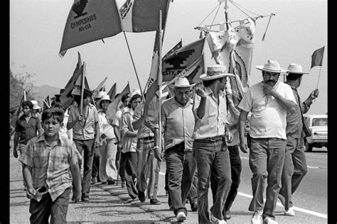 Chavez became an historical icon and the best known latino american civil rights activists. Harvesting Labor Rights: Chavez's UFW At 50 | Labor rights ...