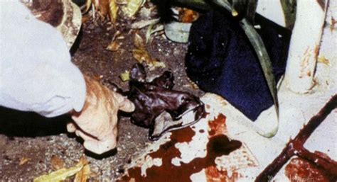 Maybe you would like to learn more about one of these? Nicole Brown Simpson: Never-before-seen OJ crime scene ...