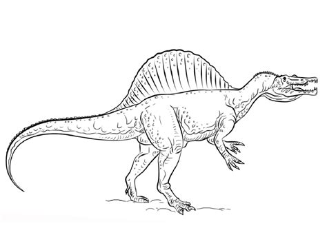 Spinosaurus dinosaur coloring page from spinosaurus category. Spinosaurus Coloring Page Collection | 101 Worksheets