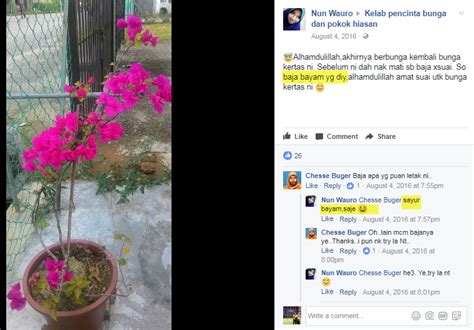 Yak, pada kesempatan kali ini saya akan memberikan tips dan cara membuat bunga dari kertas, kertas dari berbagai jenis. 10 Baja Teruji dan Terbukti Mujarab Buat Pokok Kertas Gila ...