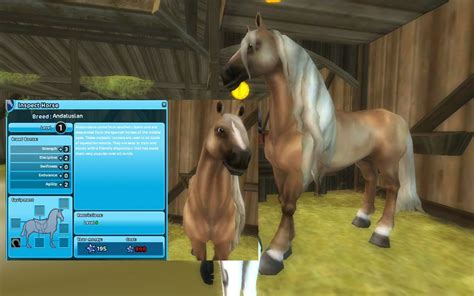 We did not find results for: Andalusian - Star Stable Online -> Jane AppleHurricane