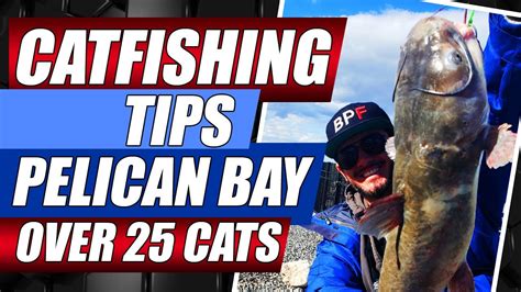 The low elevation of this lake makes it a great lake in the spring as it tends to warm up faster than most other lakes in utah. Catfish Tips Pelican Bay Utah Lake Catfishing Tips ...