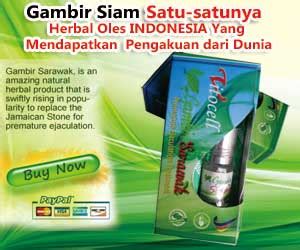 There has not been any report of side effect or allergy due to gambir as it is made from natural organic material. gambir siam | gambir siam Kalimantan | gambir siam vs ...