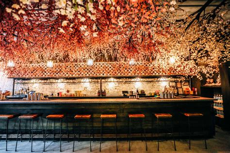 Paul taylor for pub dread, washington, d.c. DC's permanent pop-up bar stays fresh with flowers, 10 ...