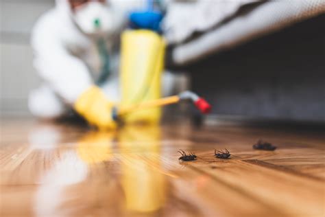 Home paramount pest control is the premier pest control and pest management company in virginia. Pest Control Services Provided in Newport News, VA