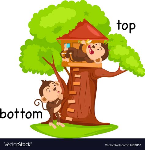 The bottom of a page. Opposite words bottom and top Royalty Free Vector Image