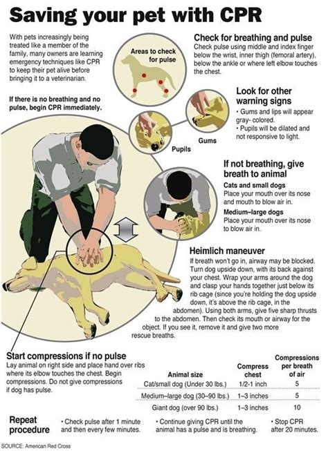 Download its a dogs life book for free. How to Perform CPR to Save a Dog's Life