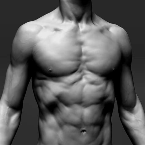 If i get enough interest, i will post more, and if i get any tip jar funds i might be able to afford to hire more models with different body types etc. ArtStation - anatomy study , Glauco Longhi