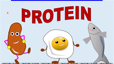 (f1 + any 5 es) + (f2 + 3 es) diagram shows cell q during day time. Biology Form 4 KSSM Chapter 4 (4.3) PROTEINS - YouTube