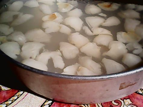 Resepi puding kastad berlapis via anekaresepipuding.blogspot.com. Kampungku: AGAR-AGAR LAICI