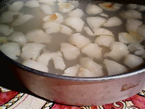 Your point is to develop it by eating pellets around the jungle gym. Kampungku: AGAR-AGAR LAICI