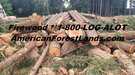 This detailed article is about 9 free firewood storage shed plans. FIREWOOD SALE Split Cords Logs Ravensdale Enumclaw Maple ...