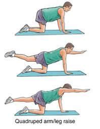 The hip flexors connect your hip bones to your leg bones. Pin on lumbar