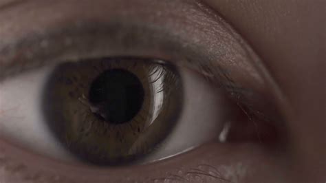 Macro Close-up wumen eye blinking Stock Footage #AD ,#wumen#Close#Macro#eye | Close up, Macro 