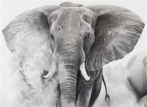 Original pencil drawing Elephants in the Dust by | Etsy