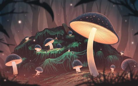 Mushroom Wallpaper - KoLPaPer - Awesome Free HD Wallpapers