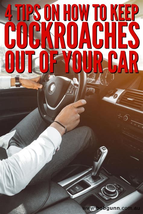 Pest problems can become more than a minor nuisance and have the potential to cause major headaches. 4 Easy Tips on How to Cockroach-Proof Your Car | Pest ...