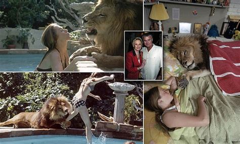 Lion (panthera leo), tiger (panthera tigris), jaguar except for the snow leopard, these big cat species can roar. Melanie Griffith's brother describes horror making Roar ...