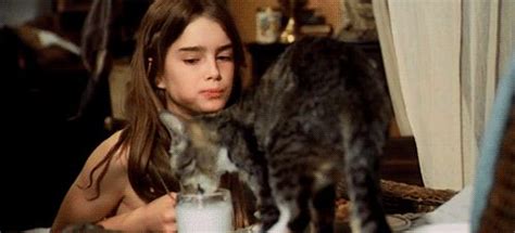 Browse and share the top pretty baby brooke shields gifs from 2021 on gfycat. rare pics of brooke shields - Google Search | Pretty Baby ...