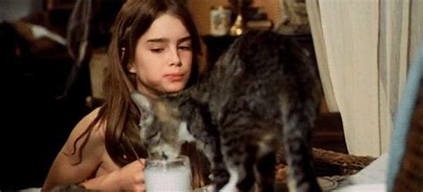 Narra la historia de una niña de doce años (brooke shields) que vive en un burdel de nueva orleans. rare pics of brooke shields - Google Search | Pretty Baby ...