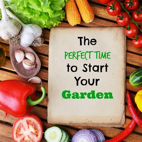 Learn how to create a seed starting schedule from the experts at gardener?s supply in vermont. The Perfect Time To Start Planting Your Garden - Tools 2 ...
