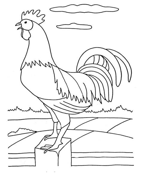 Hi,i am a professional graphic designer.i just won't stop till i'm 100% satisfied.i treat every customer as a friend of mine. Rooster Standing On A Fence Coloring Page : Coloring Sky ...