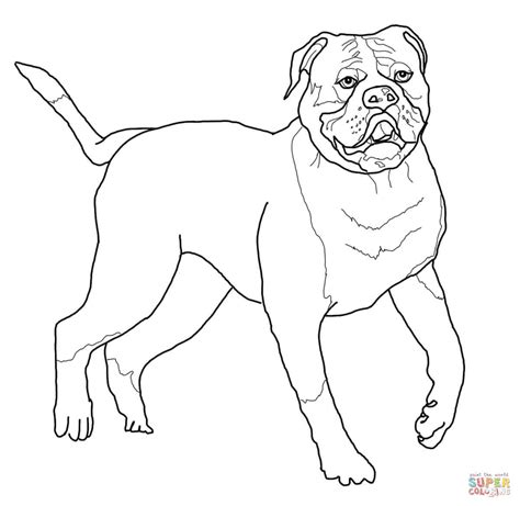 Tags american, bulldog, coloring pages, printable, puppy. American Bulldog coloring page | Free Printable Coloring Pages