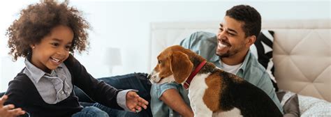 The rise of 'pet parenting' - Symrise