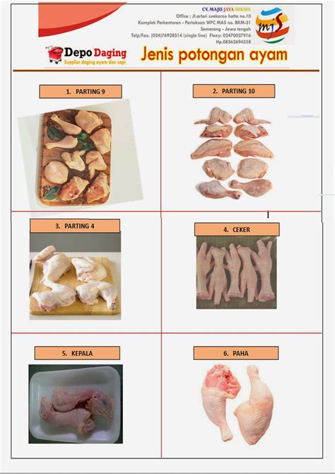 Pengetahuan anatomi dan pengenalan kerangka sangat dibutuhkan sebelum memotong ayam menjadl bagian tertentu. Jenis Potongan Ayam | Depo Daging