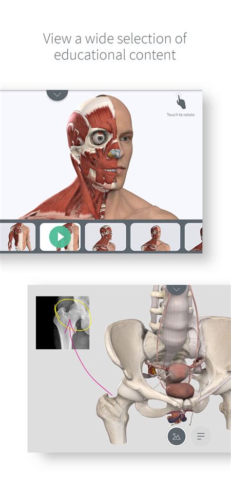 Complete anatomy now available on mac devices. Complete Anatomy for iPhone #Education#Medical#apps#ios ...