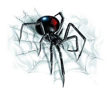 Black widow spider web tattoo. Black Widow Spider on Web Car Sticker - Tattoo art - Auto Decal in Home & Garden, Home Décor ...