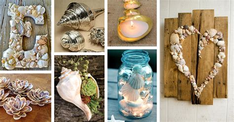 You can use them for a multitude of amazing diy projects such as 35 Best DIY Shell Projects (Ideas and Designs) for 2017