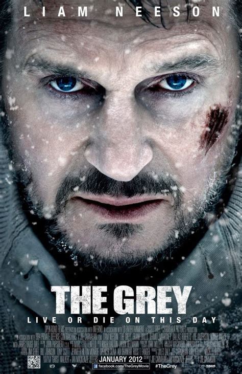 Liam neeson is an irish actor from northern ireland who rose to prominence with his acclaimed starring role in steven spielberg's 1993 oscar winner schindler's list. IL MONDO DI EDU: SNOW MOVIE!