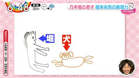 【清宮レイ】 公式生写真 乃木坂46 しあわせの保護色 封入特典 4種コンプ. 【ZIP!】乃木坂の鬼才・堀未央奈の表現力 | 生駒ちゃんねる