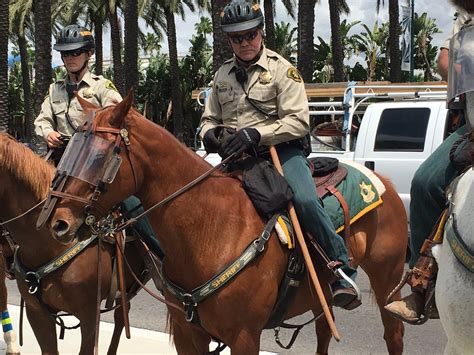 Trump returned to the rally stage on mr. Mounted police in anaheim are equipped with bokken, wooden ...