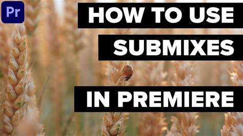 This is one of the most important skills to learn as you are becoming acquainted with adobe. Learn how to Use Submixes in Adobe Premiere Pro - YouTube