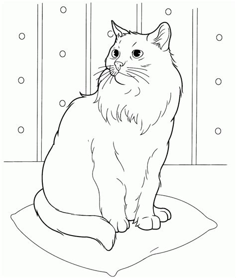 Cats are our pets, cats are the animals are cute and soft, sometimes acting funny to make us laugh, cats are smart animals if trained properly then it will be docile and easy to order, train. Cat Coloring Pages for Adults - Best Coloring Pages For ...